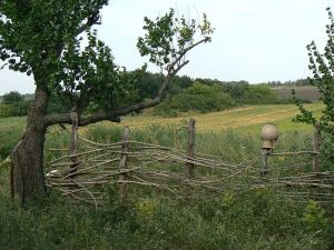 забор в селе